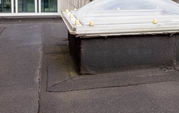 disadvantages of Tafarn Y Gelyn flat roofs