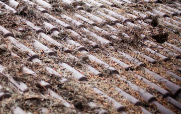 Tafarn Y Gelyn roof cleaning companies